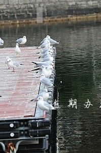 逾期办理房产证损失举证 逾期办理房产证损失举证