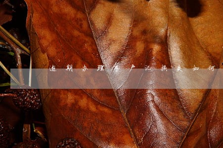 逾期办理房产证损失如何举证 逾期办理房产证损失如何举证