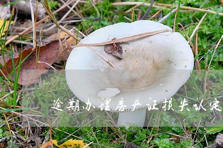 逾期办理房产证损失认定 逾期办理房产证损失认定