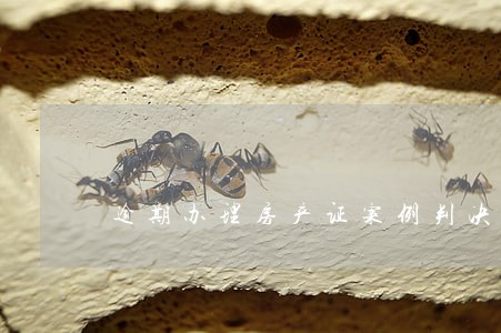 逾期办理房产证案例判决 逾期办理房产证案例判决