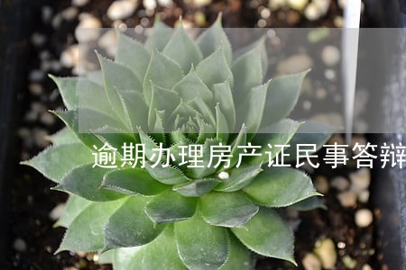 逾期办理房产证民事答辩状 逾期办理房产证民事答辩状
