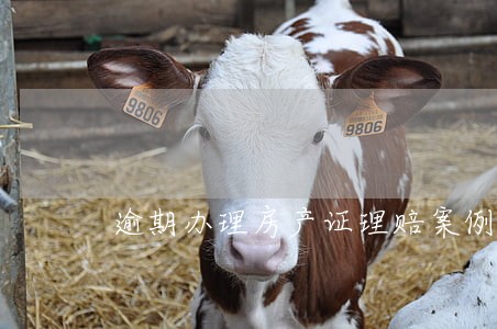 逾期办理房产证理赔案例