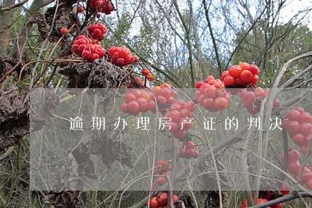 逾期办理房产证的判决 逾期办理房产证的判决