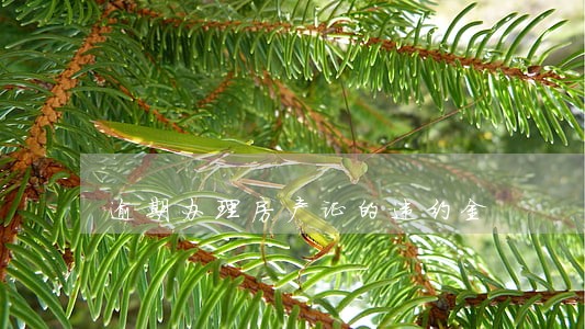 逾期办理房产证的违约金 逾期办理房产证的违约金