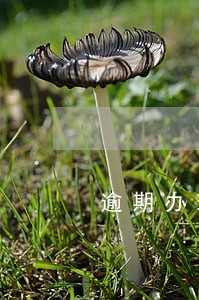 逾期办理房产证规定违约赔偿 逾期办理房产证规定违约赔偿