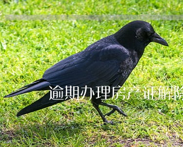 逾期办理房产证解除权消灭