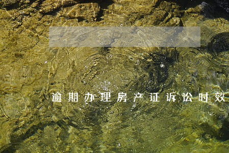 逾期办理房产证诉讼时效补救 逾期办理房产证诉讼时效补救