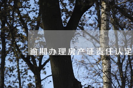 逾期办理房产证责任认定 逾期办理房产证责任认定
