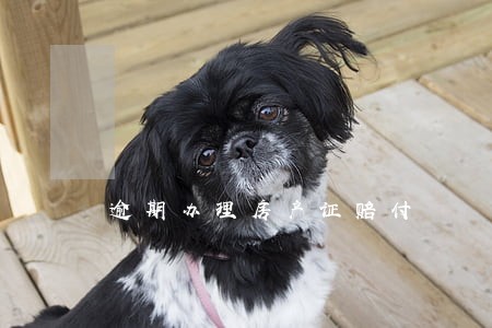 逾期办理房产证赔付 逾期办理房产证赔付
