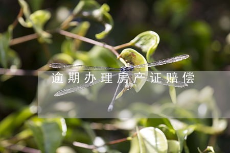 逾期办理房产证赔偿 逾期办理房产证赔偿