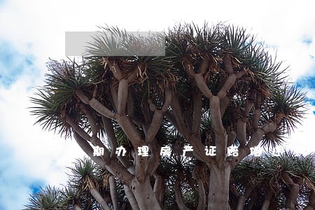 逾期办理房产证赔偿违约金案例 逾期办理房产证赔偿违约金案例