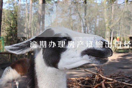 逾期办理房产证输出口径 逾期办理房产证输出口径