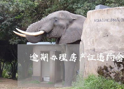 逾期办理房产证违约金多久可到账 逾期办理房产证违约金多久可到账