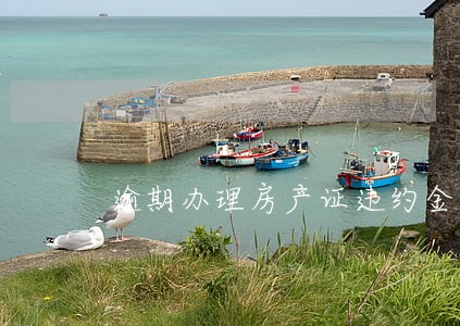 逾期办理房产证违约金没写 逾期办理房产证违约金没写