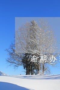 逾期办理房产证违约金过低案例 逾期办理房产证违约金过低案例