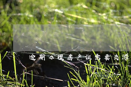 逾期办理房产证需要交滞纳金吗 逾期办理房产证需要交滞纳金吗