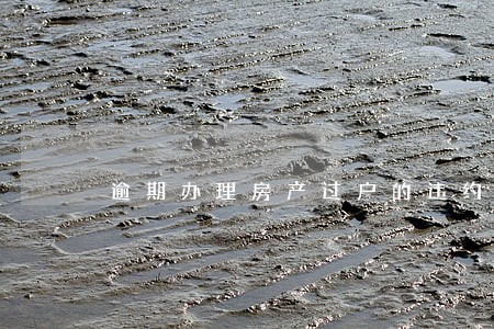 逾期办理房产过户的违约责任 逾期办理房产过户的违约责任