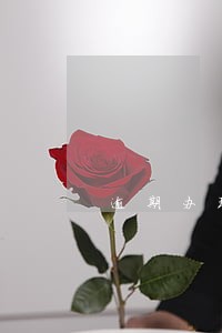 逾期办理房产造成哪些损失 逾期办理房产造成哪些损失