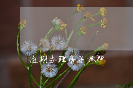 逾期办理房子抵押 逾期办理房子抵押