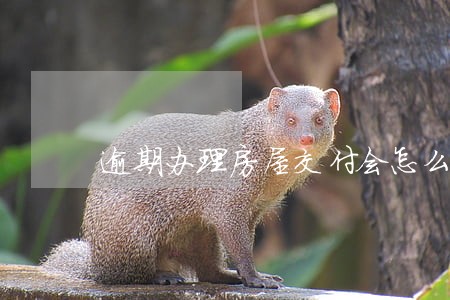 逾期办理房屋交付会怎么样 逾期办理房屋交付会怎么样