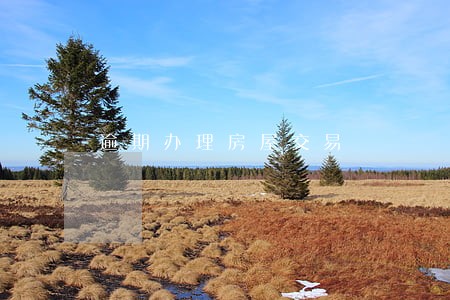 逾期办理房屋交易 逾期办理房屋交易