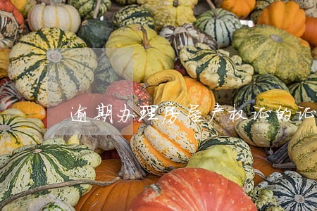 逾期办理房屋产权证的证据目录