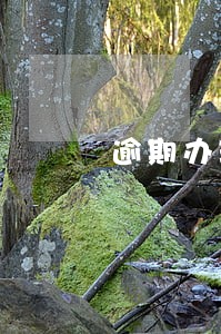 逾期办理房屋产权证的违约责任 逾期办理房屋产权证的违约责任