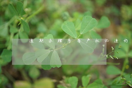 逾期办理房屋产权证违约金 逾期办理房屋产权证违约金