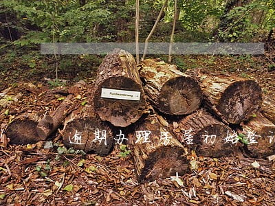 逾期办理房屋初始登记 逾期办理房屋初始登记