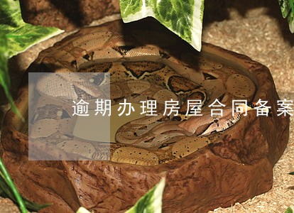 逾期办理房屋合同备案 逾期办理房屋合同备案
