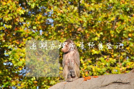 逾期办理房屋预售登记 逾期办理房屋预售登记