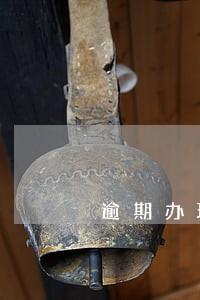 逾期办理房本上诉状 逾期办理房本上诉状