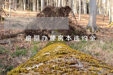 逾期办理房本违约金 逾期办理房本违约金