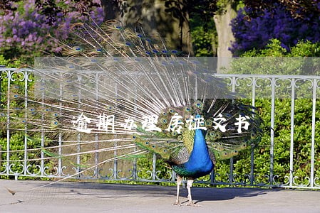 逾期办理房证文书
