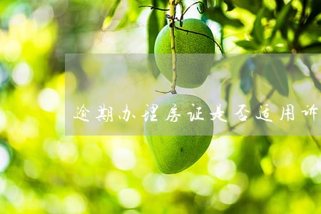逾期办理房证是否适用诉讼时效 逾期办理房证是否适用诉讼时效