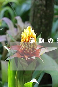 逾期办理房证有赔偿吗 逾期办理房证有赔偿吗