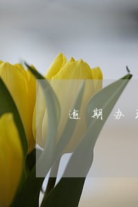 逾期办理房证未约定违约金 逾期办理房证未约定违约金