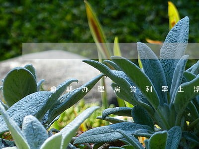 逾期办理房贷利率上浮 逾期办理房贷利率上浮