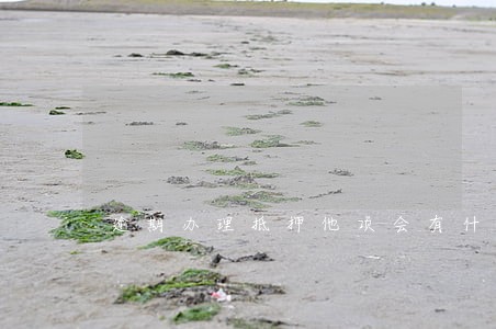 逾期办理抵押他项会有什么后果 逾期办理抵押他项会有什么后果