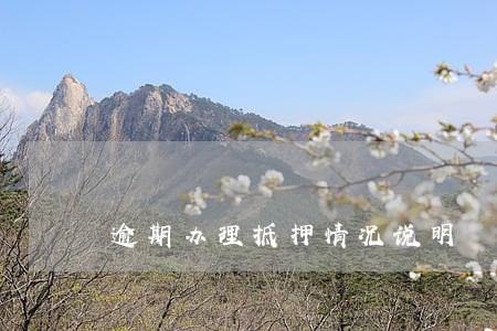 逾期办理抵押情况说明 逾期办理抵押情况说明
