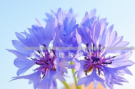逾期办理按揭手续的答辩状 逾期办理按揭手续的答辩状