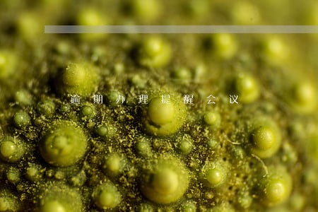 逾期办理提醒会议 逾期办理提醒会议