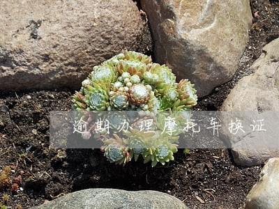 逾期办理摩托车换证 逾期办理摩托车换证