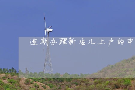 逾期办理新生儿上户的申请 逾期办理新生儿上户的申请