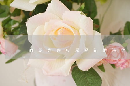 逾期办理权属登记的违约责任归谁 逾期办理权属登记的违约责任归谁