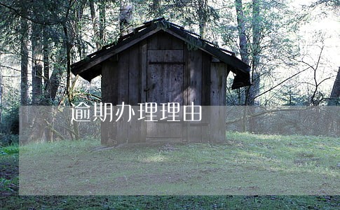 逾期办理理由
