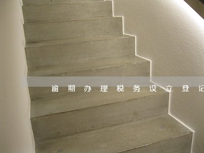 逾期办理税务设立登记 逾期办理税务设立登记