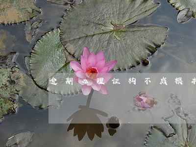 逾期办理证构不成根本违约 逾期办理证构不成根本违约