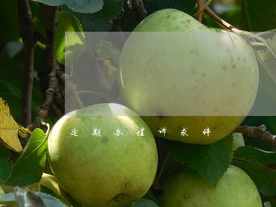 逾期办理诉求件 逾期办理诉求件