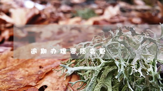 逾期办理资质变更 逾期办理资质变更